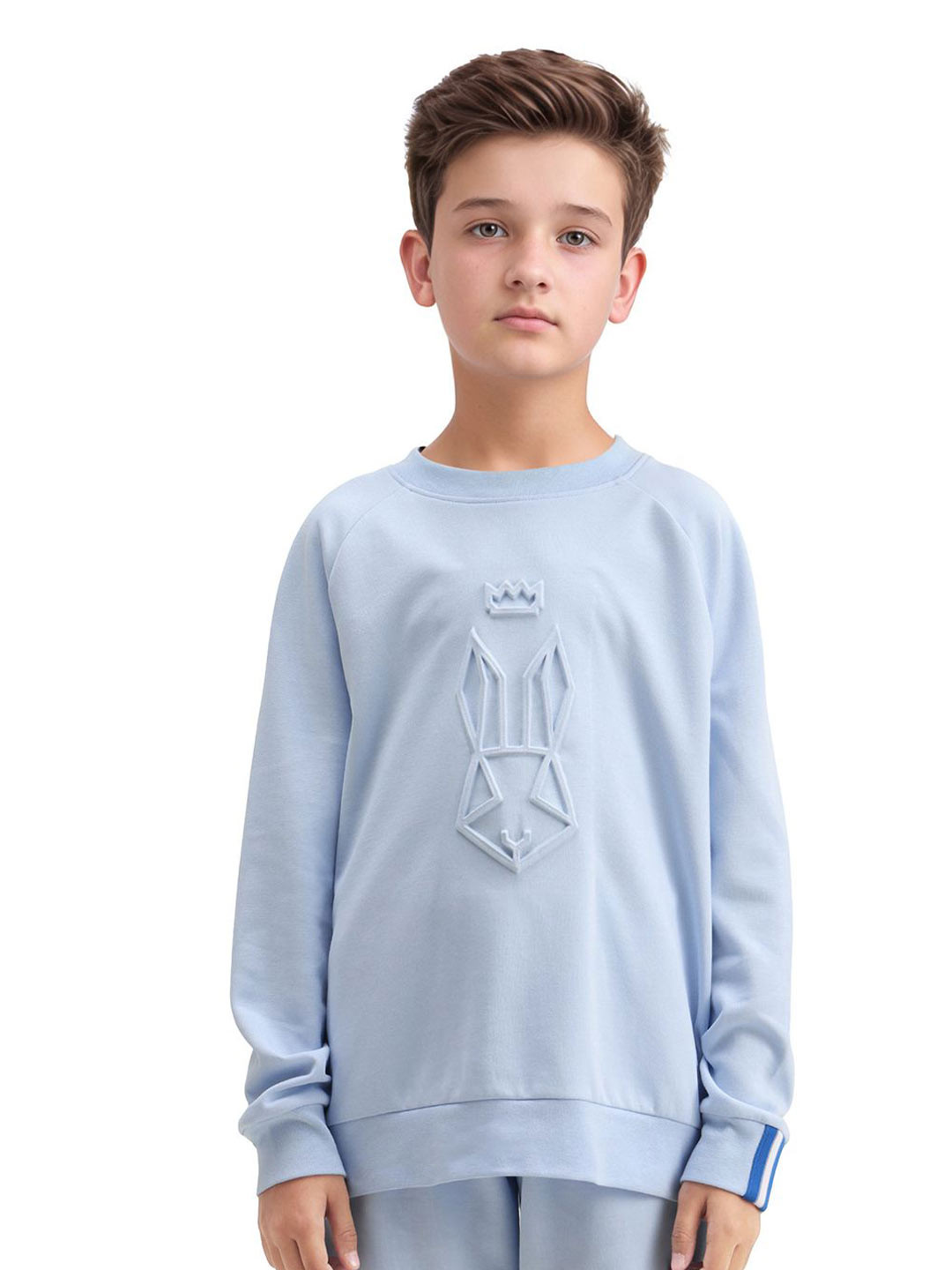 RARE ONES Boys Long Sleeves Cotton Sweatshirt