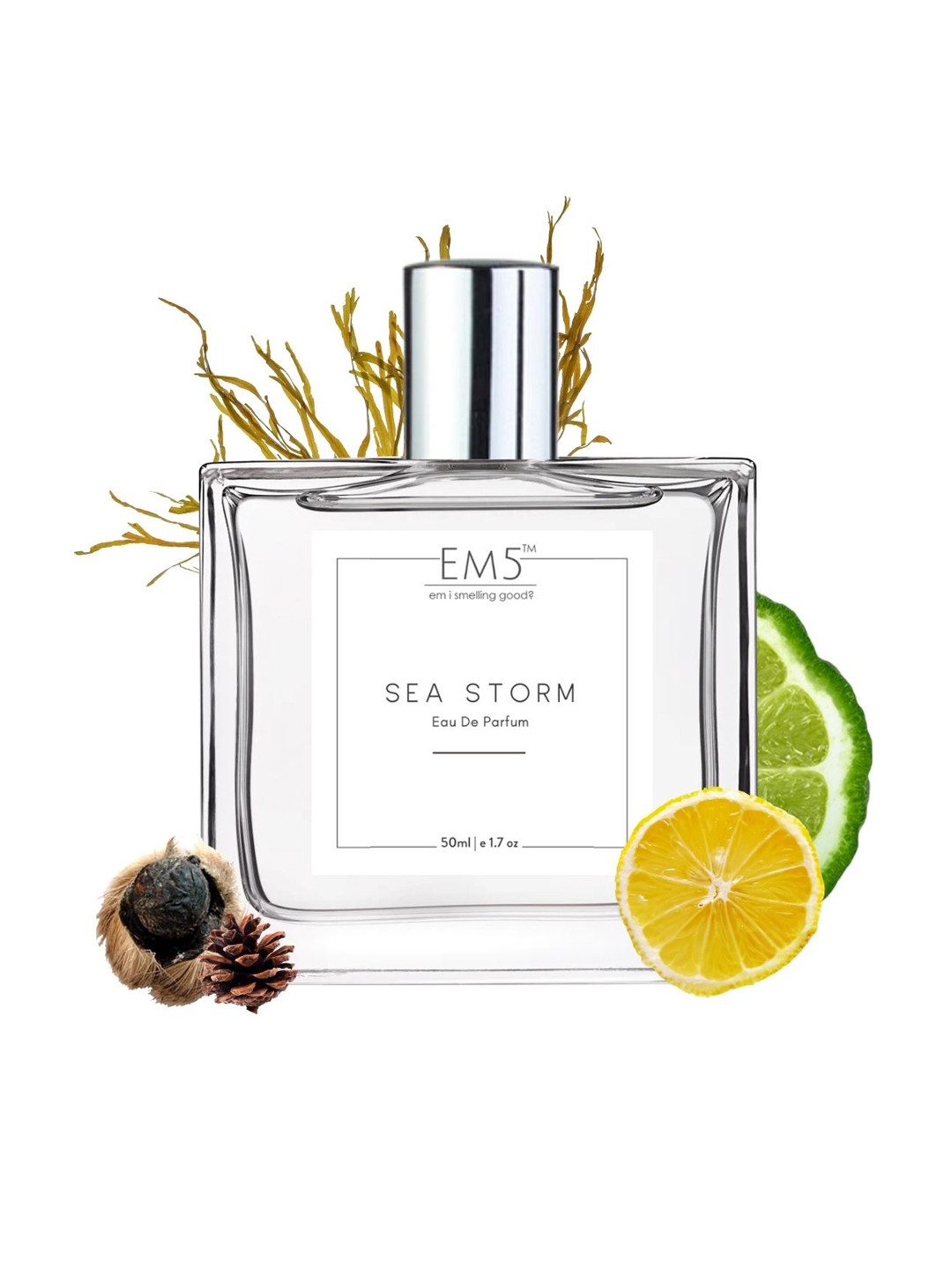 EM5 Sea Storm Long Lasting Eau De Parfum - 50 ml