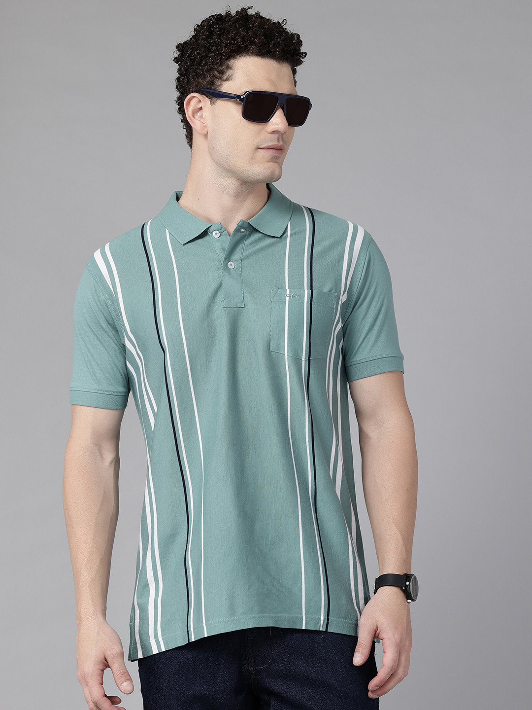 ColorPlus Striped Polo Collar Pure Cotton T-shirt
