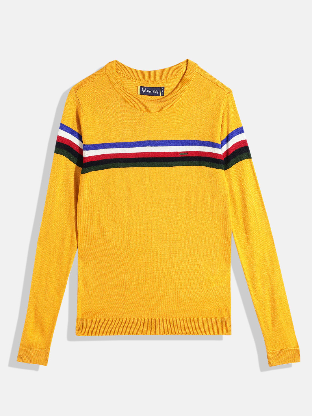Allen Solly Junior Boys Striped Pullover