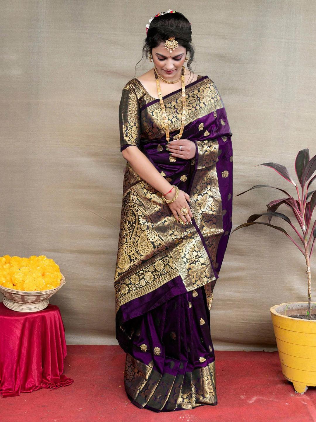Shriyangan Women Ethnic Motifs Printed No Border Traditional Kanjeevaram Saree