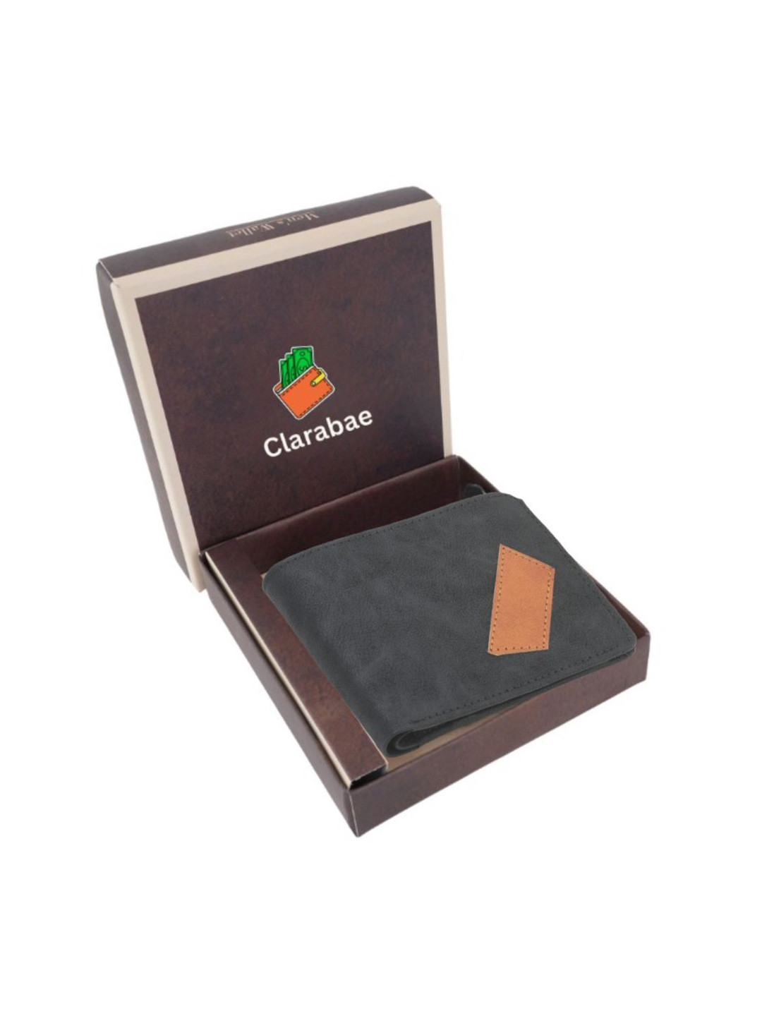 CLARABAE Men Colourblocked Two Fold Wallet with Multiple Card Slots & Coin Pocket