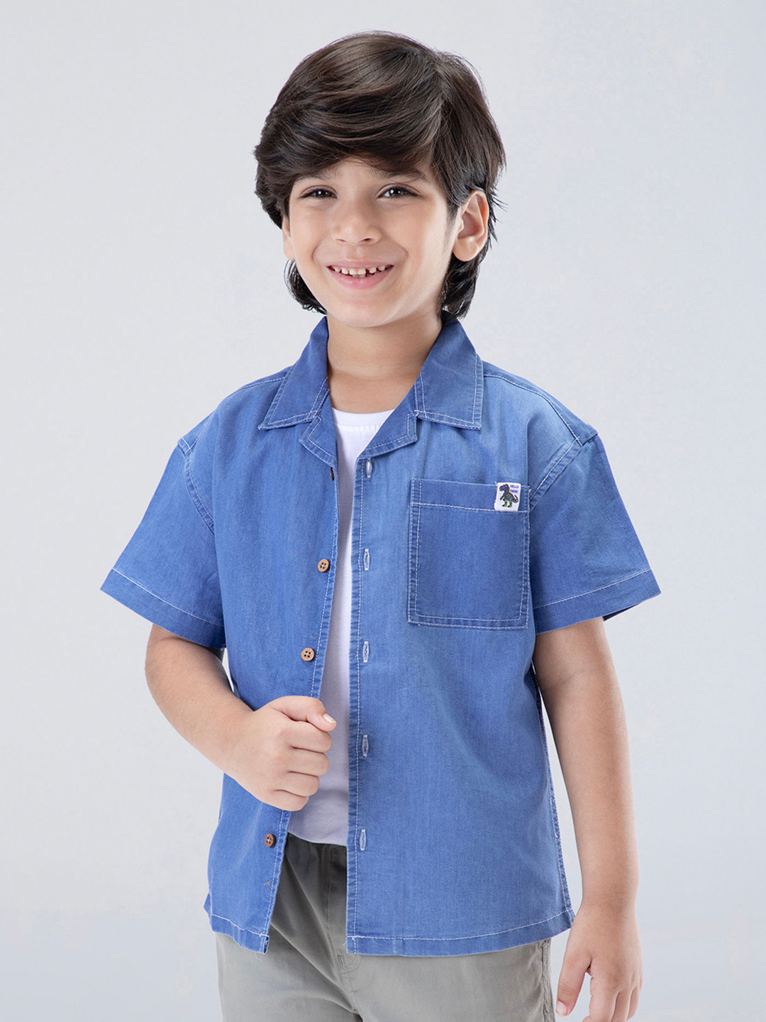 Hopscotch Boys Dinosaur Print Casual Shirt