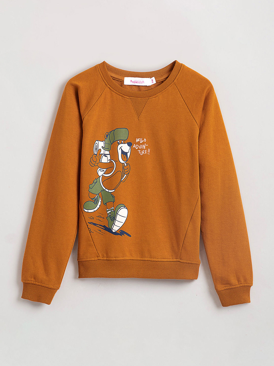 Hopscotch Boys Graphic Terry Printed Sweatshirt