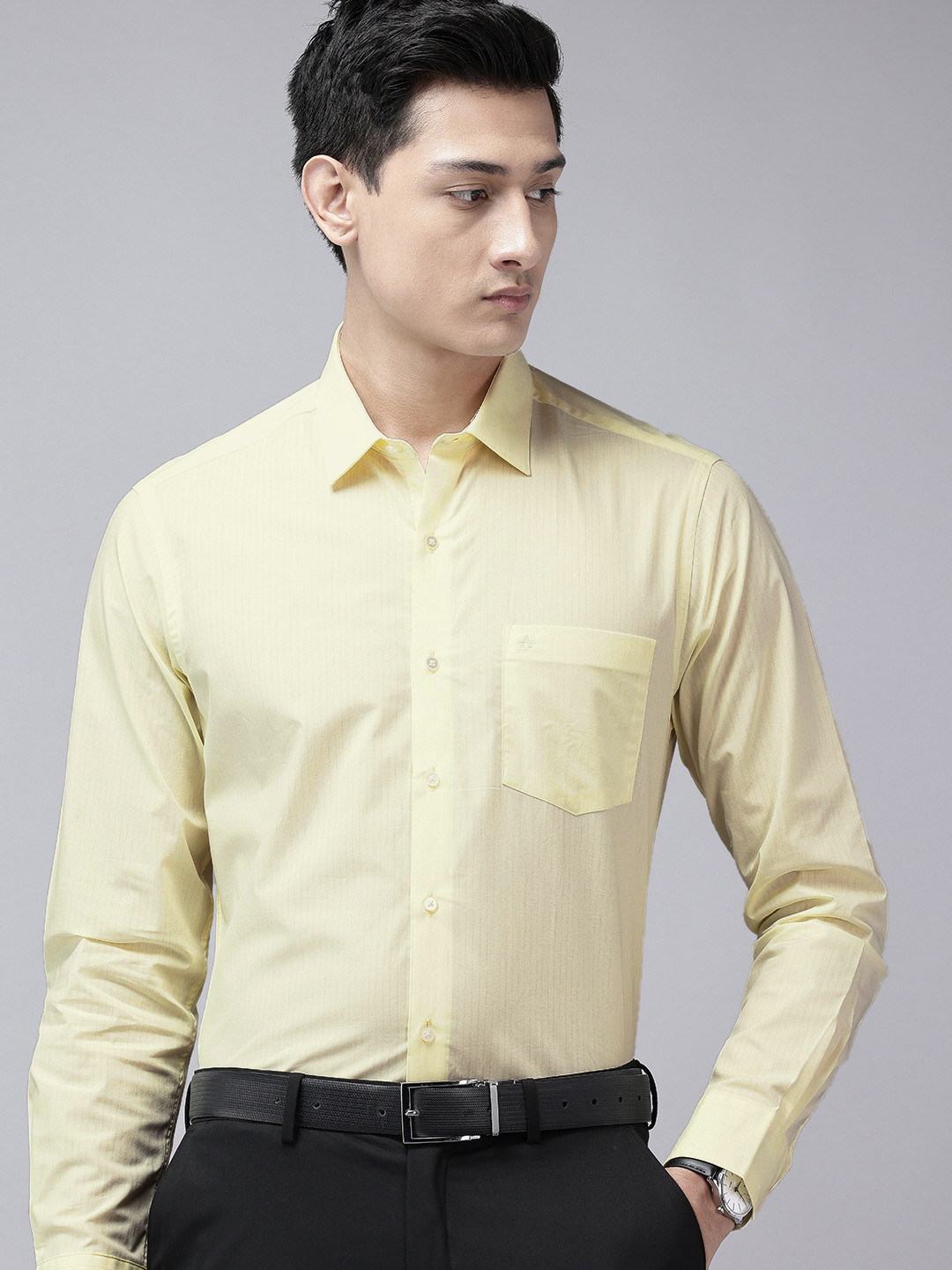 Arrow Manhattan Slim Fit Vertical Pure Cotton Formal Shirt