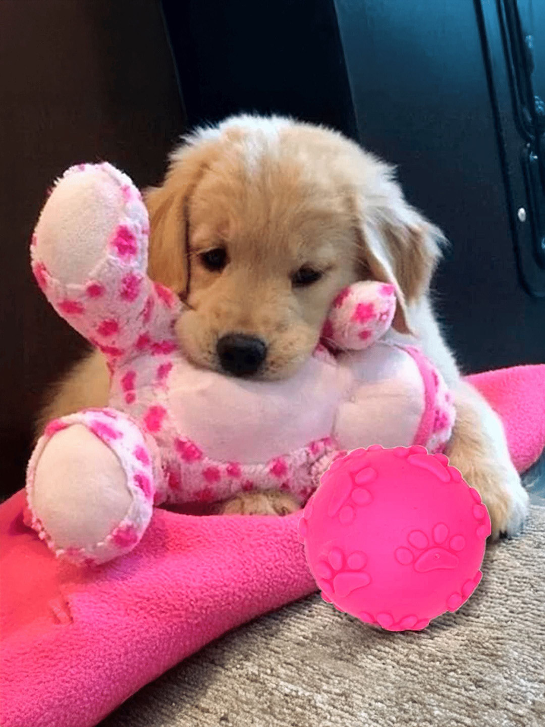 Petbabas Pink Textured Dog Chew Toy