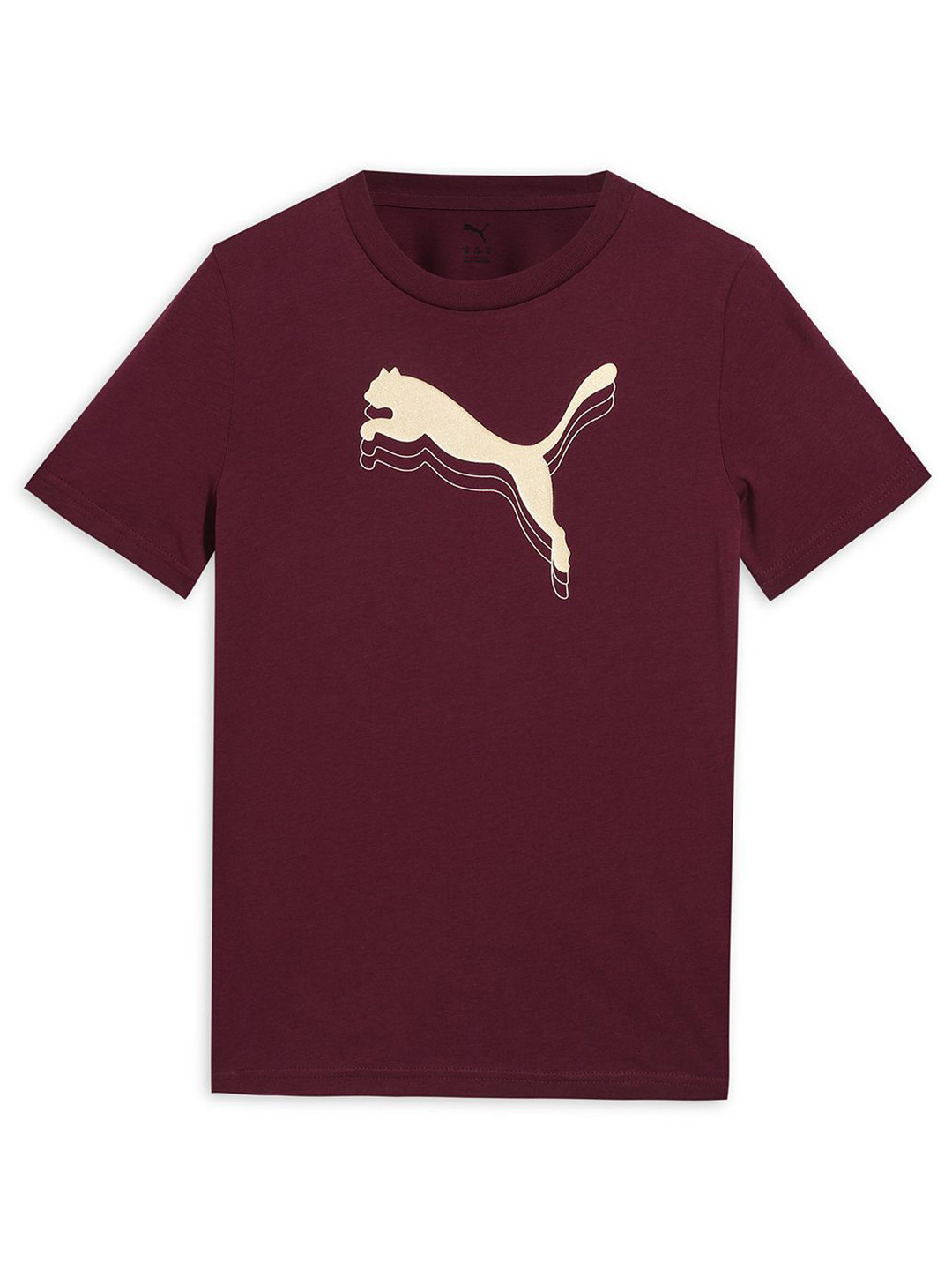 Puma Metallic Youth Cotton Tee