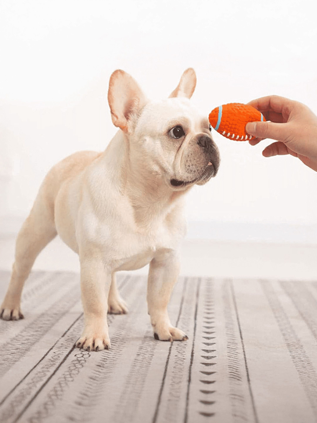 Petbabas Base Ball Shaped Dog Chew Toy