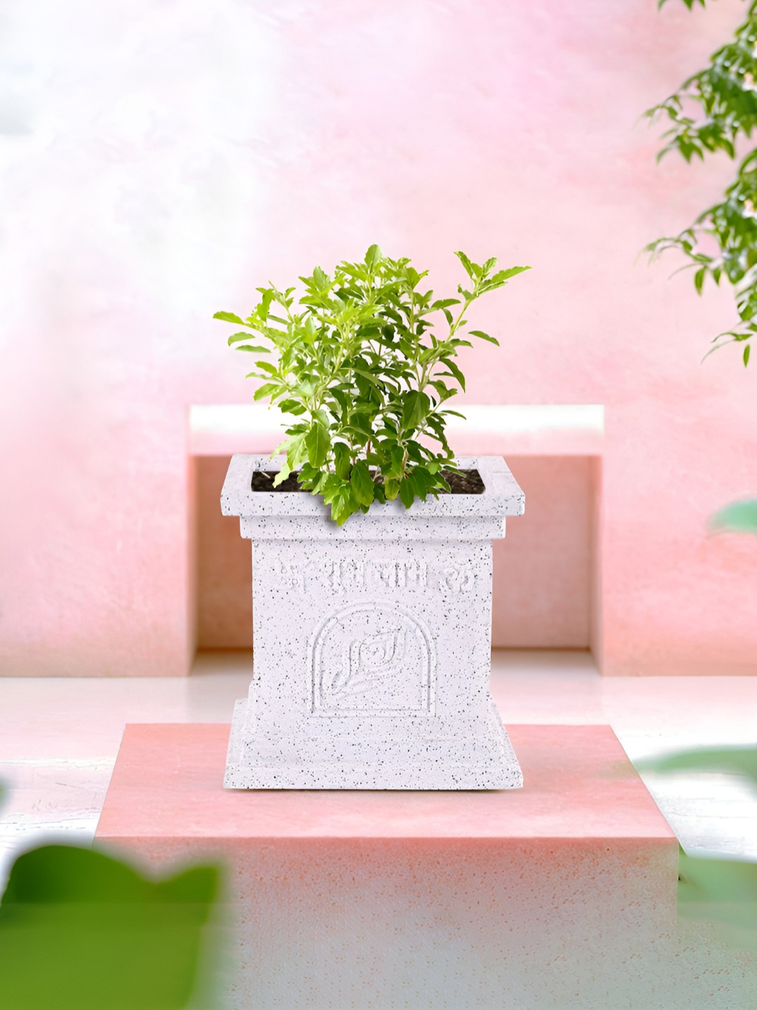 RUBOXA 12 Inch Plastic Tulsi Planter Pot For Home