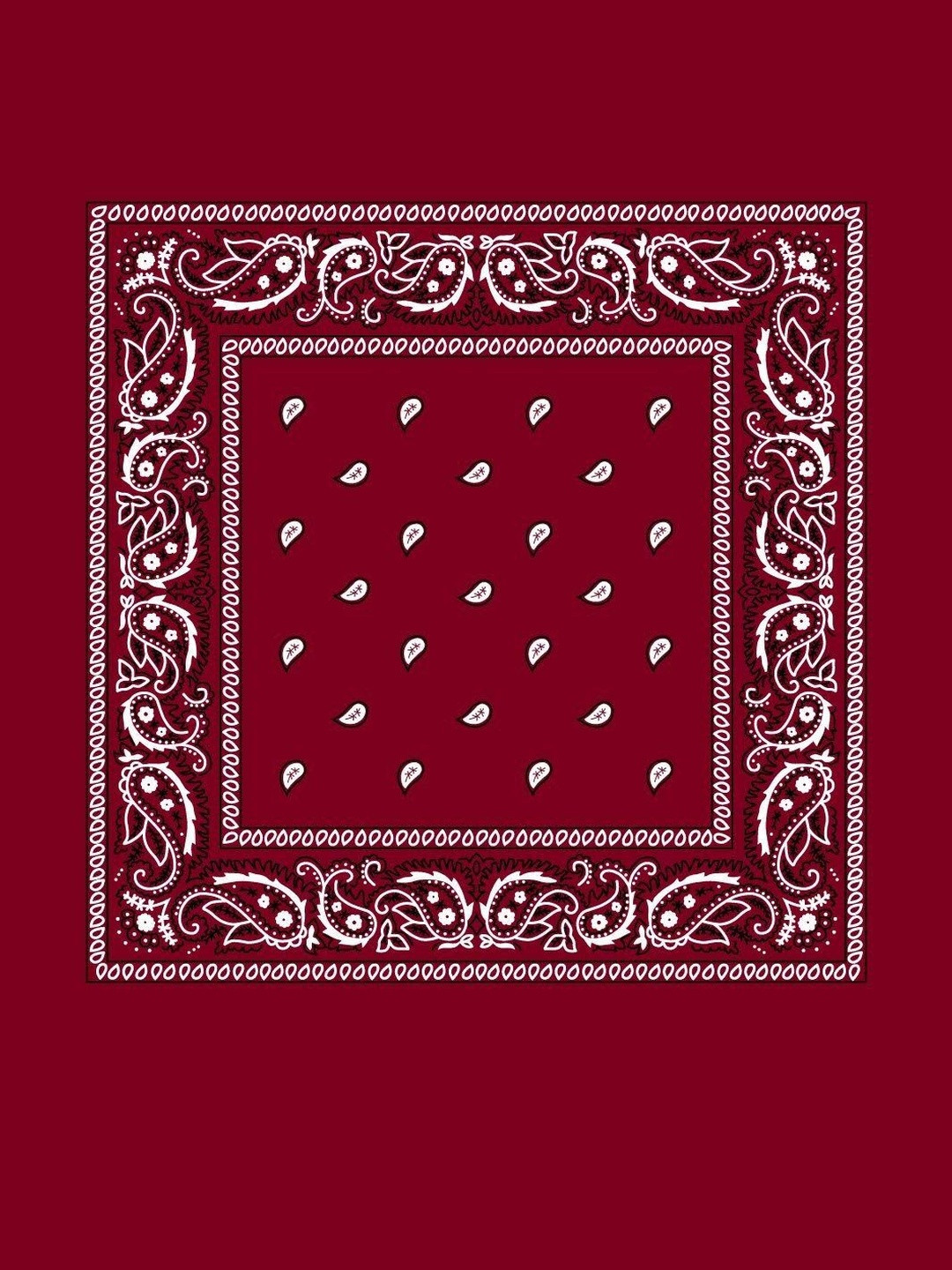 Navkar Crafts Unisex Paisley Bandana Headband