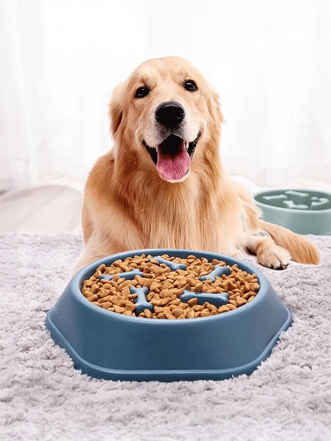 Petbabas Blue Durable Feeder Bowl For Dogs & Cats