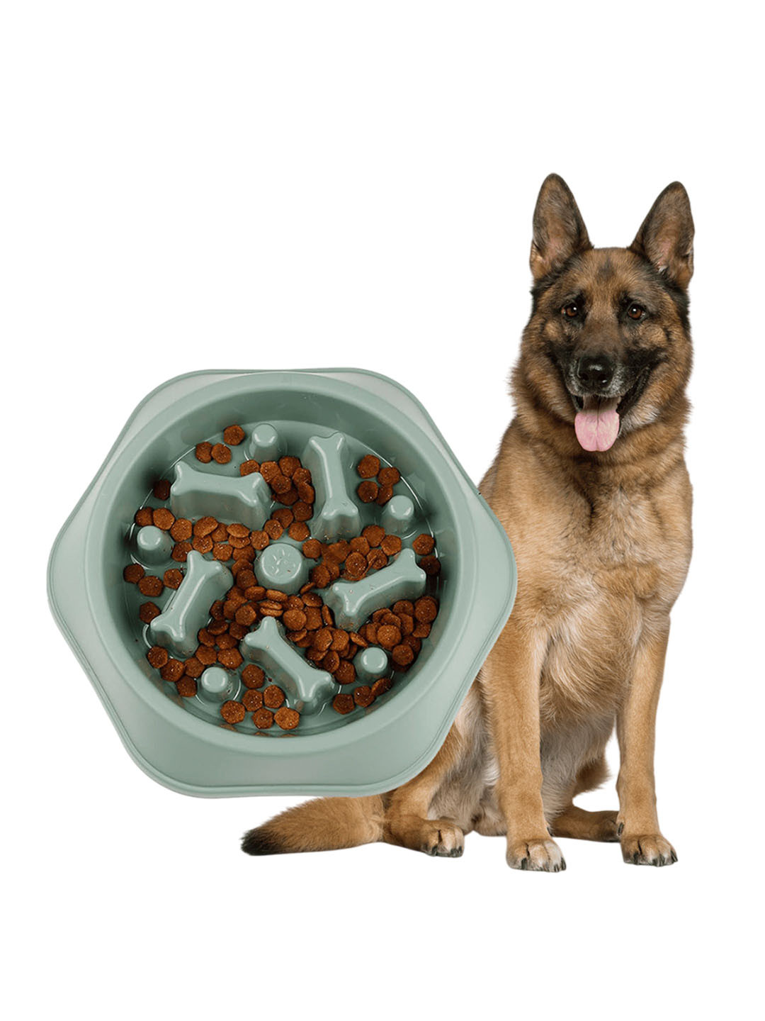 Petbabas Green Durable Slow Feeder Bowl For Dogs & Cats