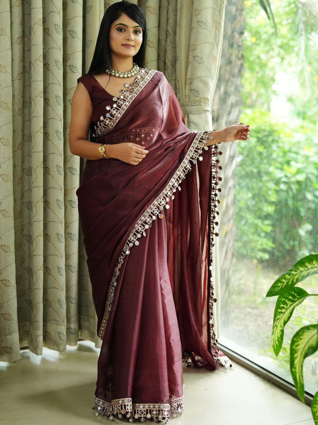 Tissue Mirror Work Border Saree