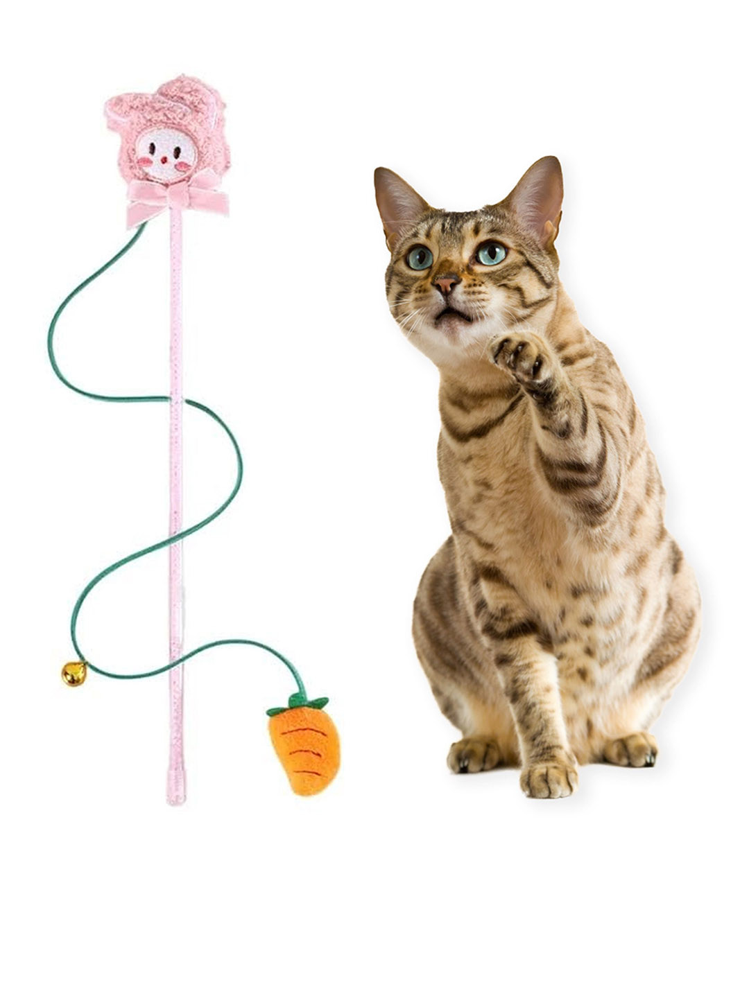 PETBABAS Cat and Dog Playing Stick