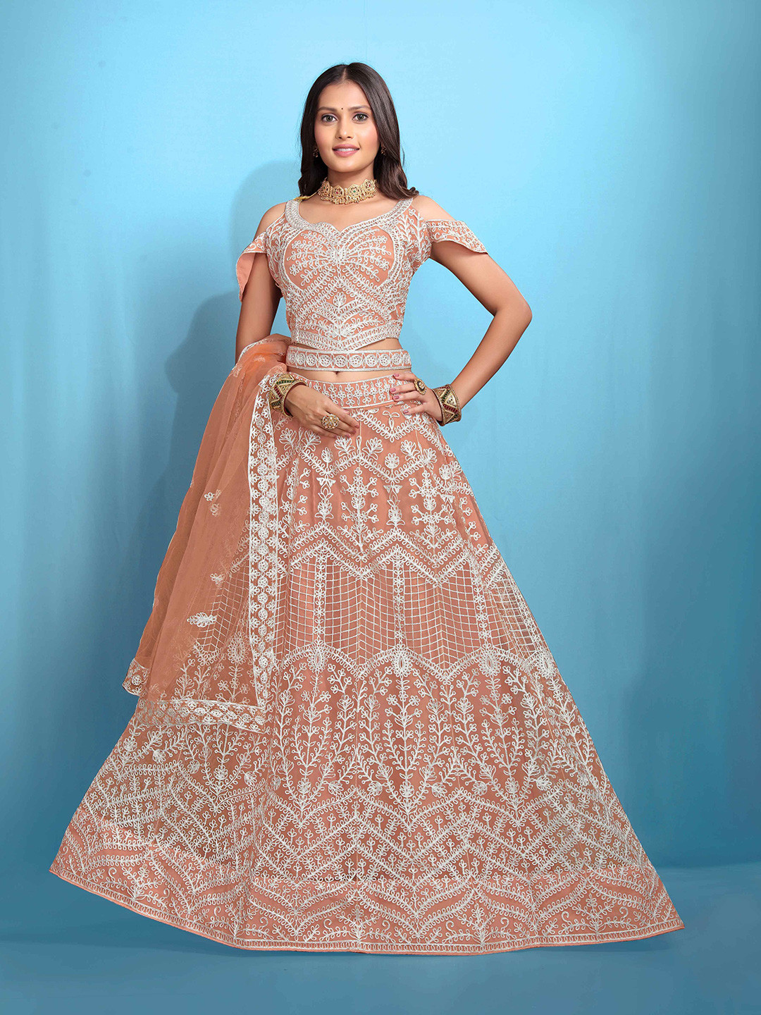 VARNI FABRICS Embroidered Net Semi-Stitched Lehenga With Unstitched Blouse & Dupatta