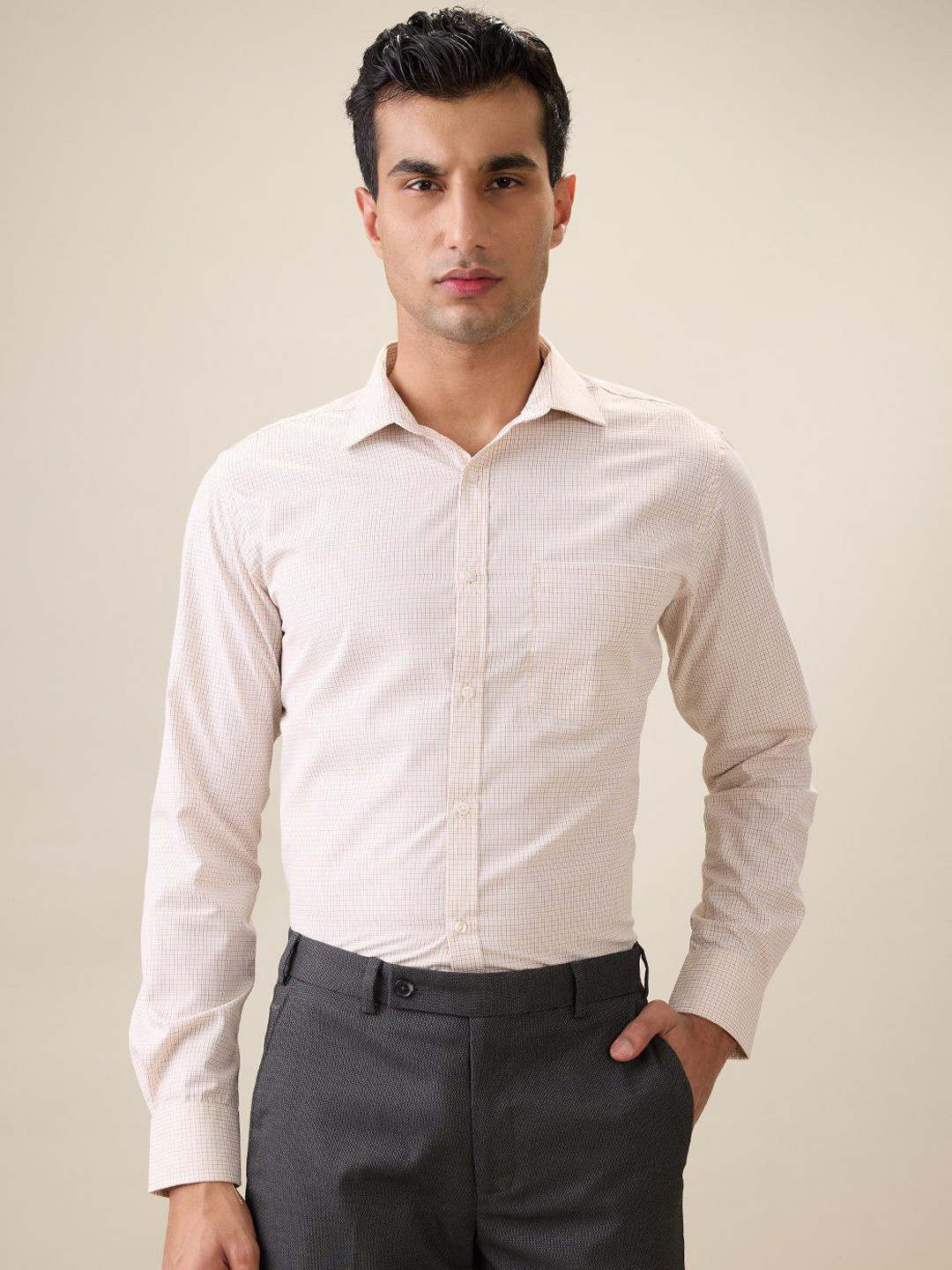 Park Avenue Men Slim Fit Micro Checked Spread Collar Formal Shirt