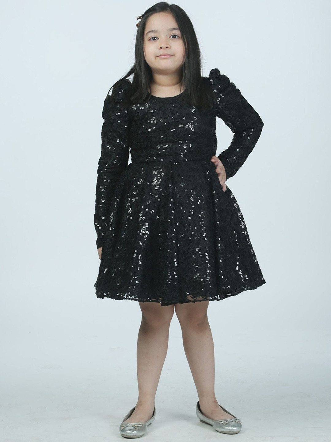 Alyaansh Couture Net Fit & Flare Dress