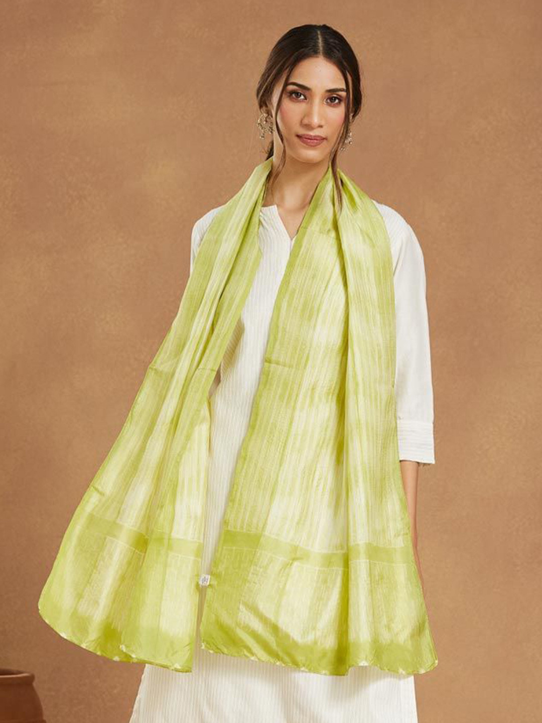 Fabindia Women Stripen Woven Design Stole