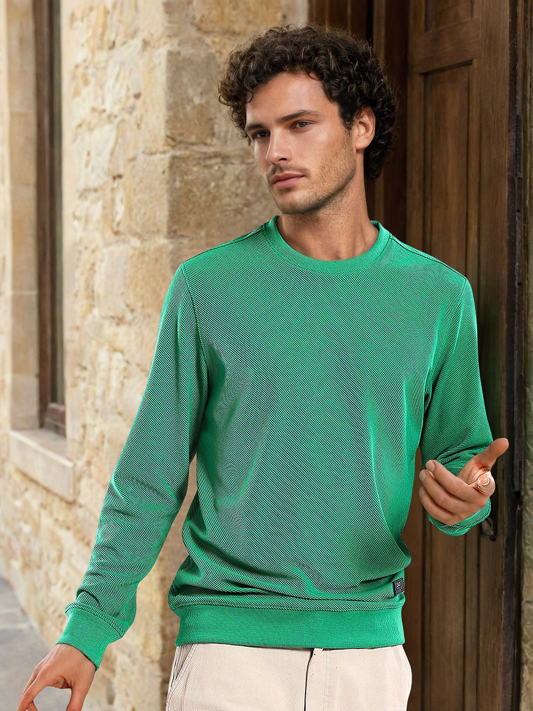 The Indian Garage Co Self Design Textured Long Sleeve Pullover Sweatshirt