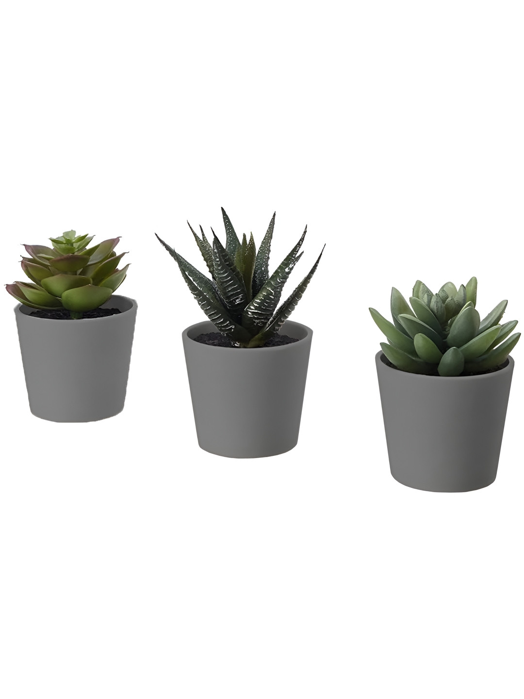 paperi Grey 3 Pieces Succulent Artificial Plants With Pot