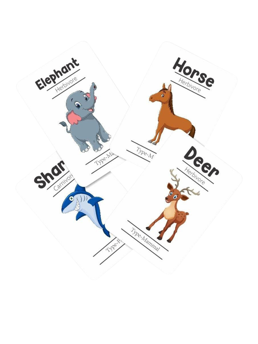 ZOOPLAY Kids Pack Of 24 Animals Flash Cards Book Toy