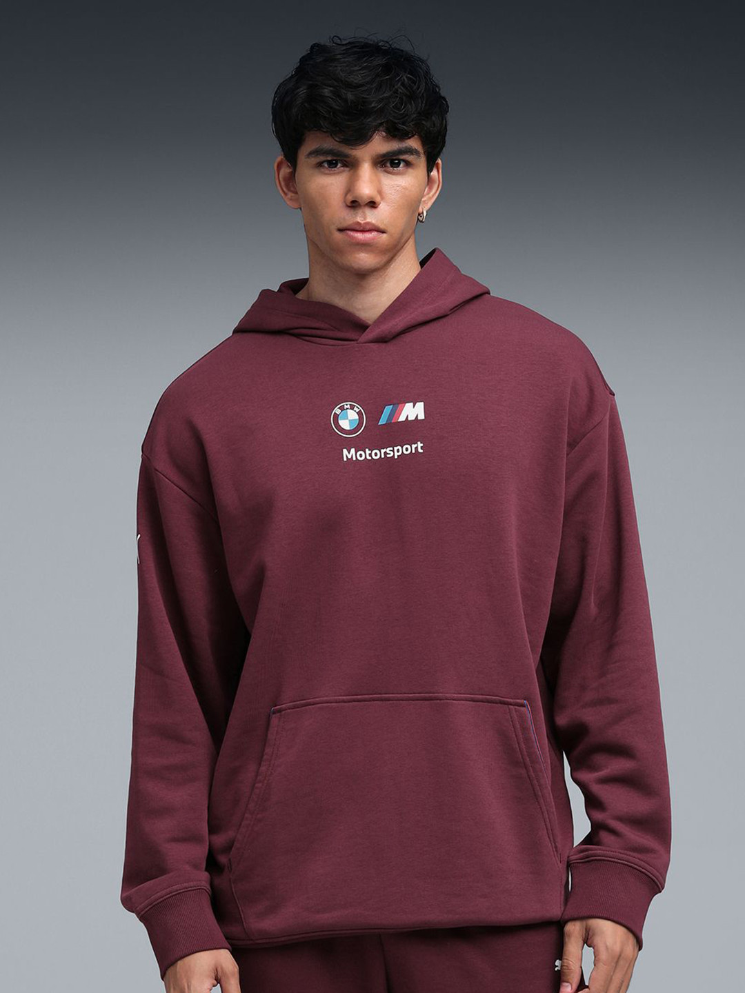 BMW M Motorsport Essentials Men's Hoodie