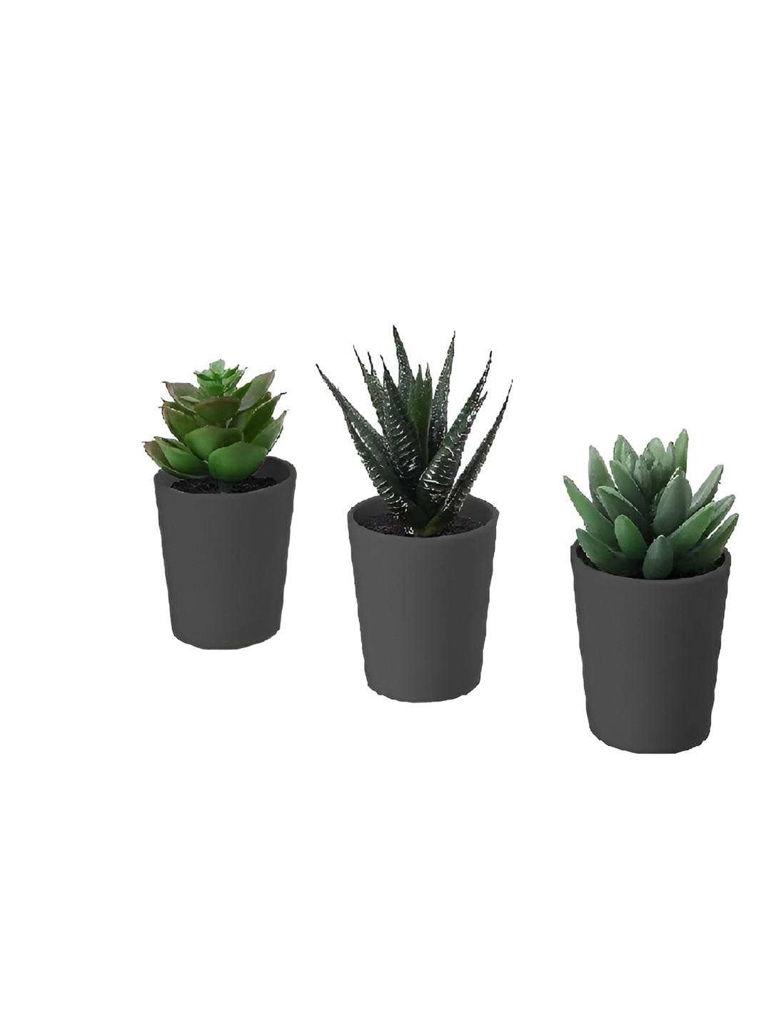 paperi Black 3 Pieces Succulent Artificial Plant With Pot