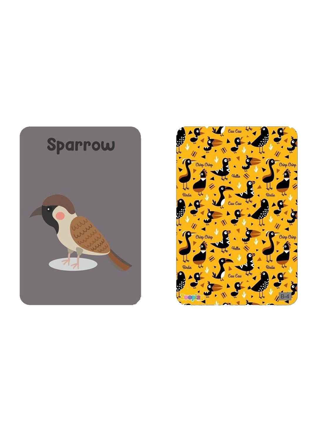 ZOOPLAY Kids Pack of 24 India Birds Flash Cards Learning and Development Toys