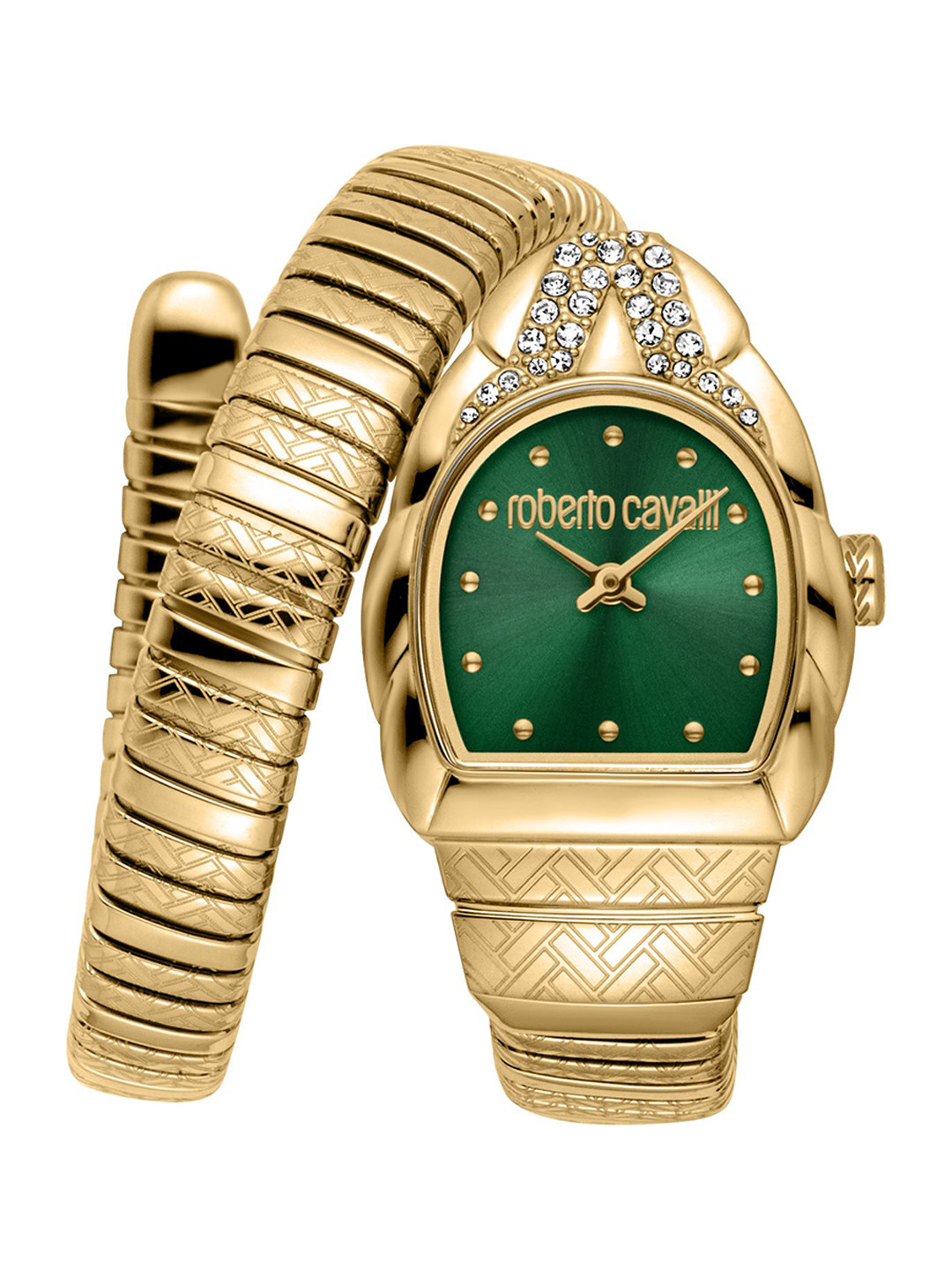 Roberto Cavalli Women Stainless Steel Serpentine Strap Analogue Watch RC5L133M0045