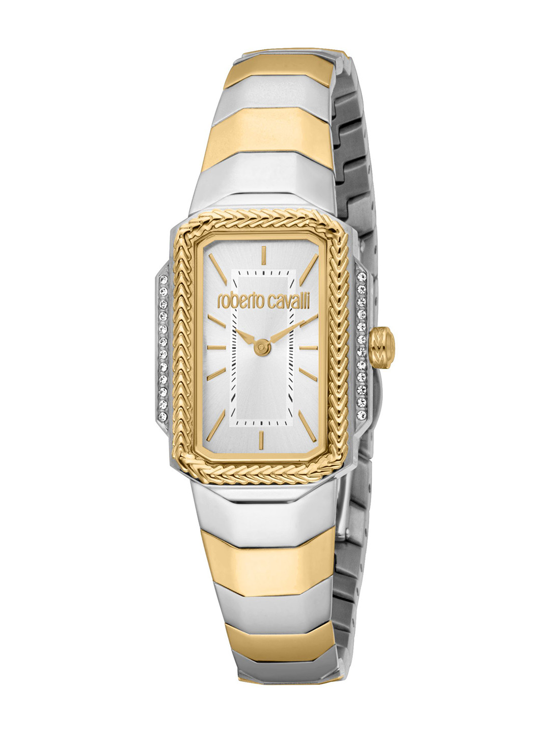 Roberto Cavalli Women Eterna Dial & Stainless Steel Analogue Watch RC5L140M0055