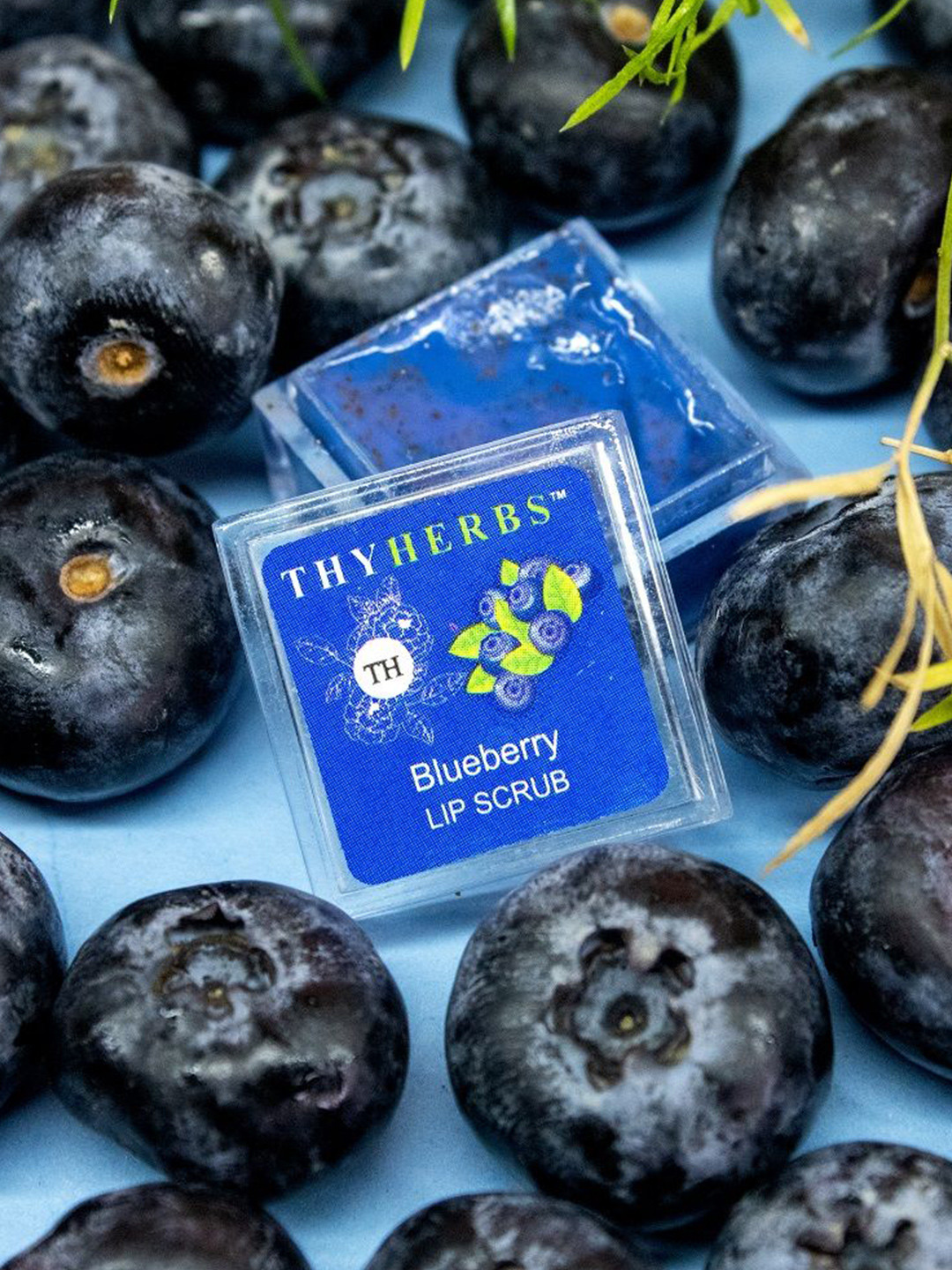 Thyherbs 1 Pcs Blueberry Lip Scrub- 3 g Each