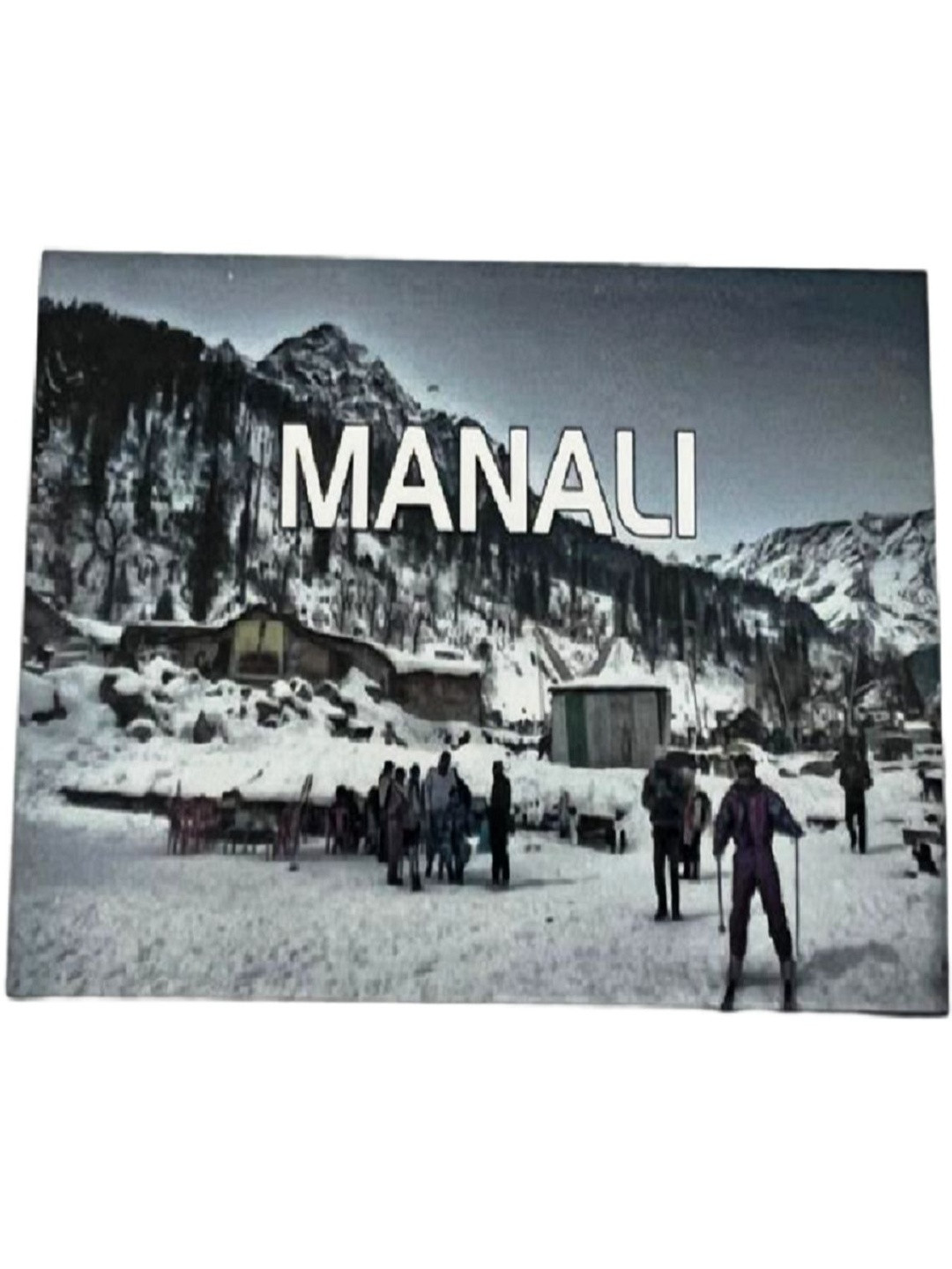 numeroastro Grey Manali Skiing Fridge Magnet