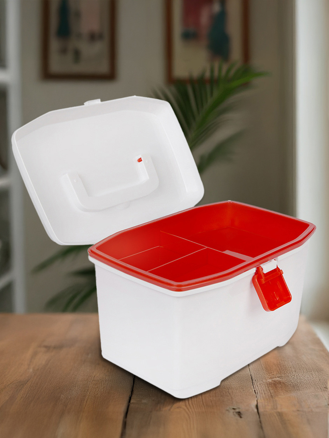 Baby Moo BPA Free Medium Medicine Box