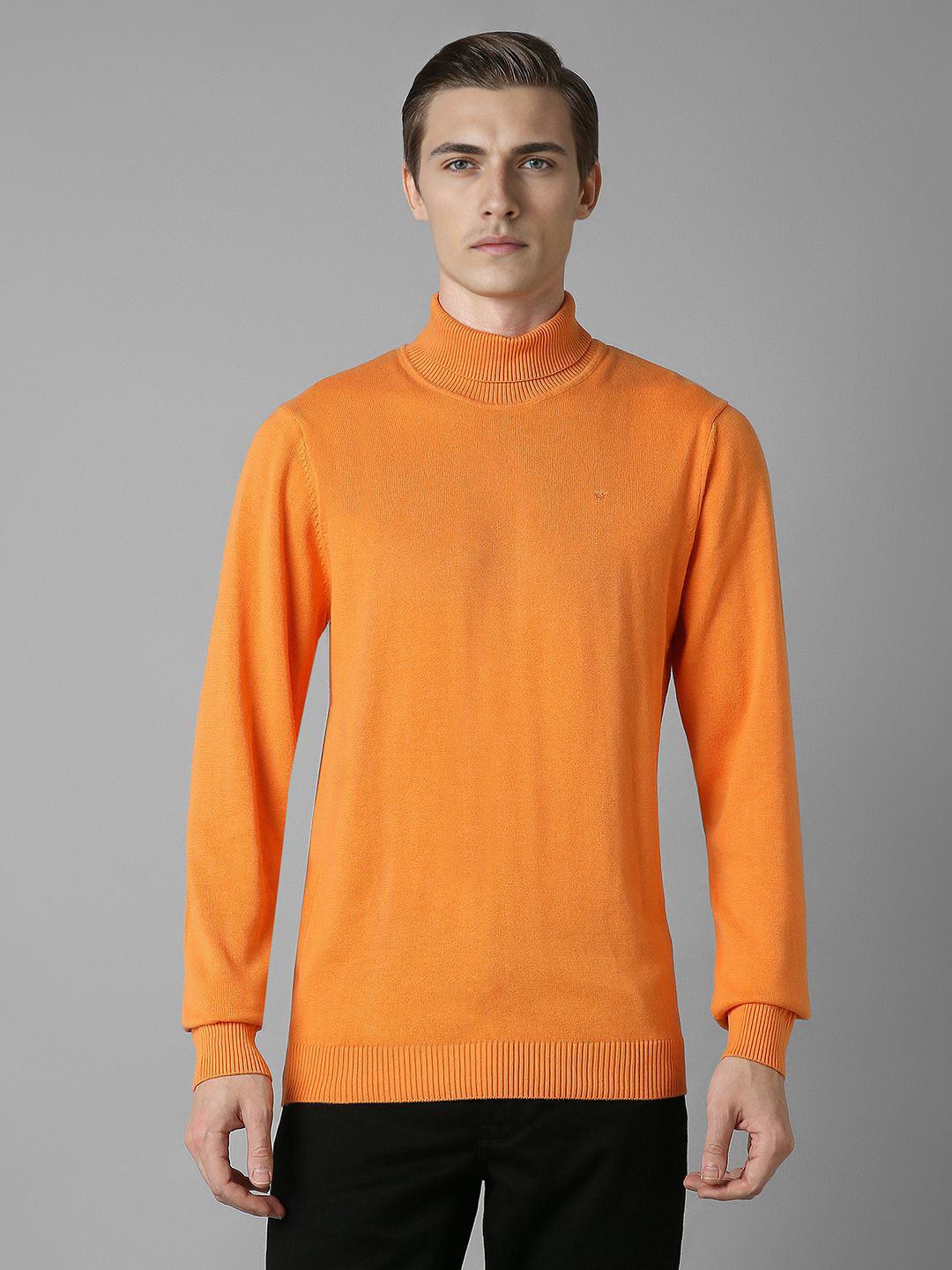 Louis Philippe Turtle Neck Full Sleeves Cotton Pullover Sweater