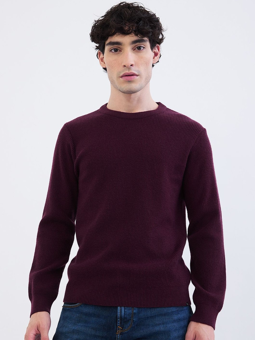 SPYKAR Men Plum Red Slim Fit Casual Pullover