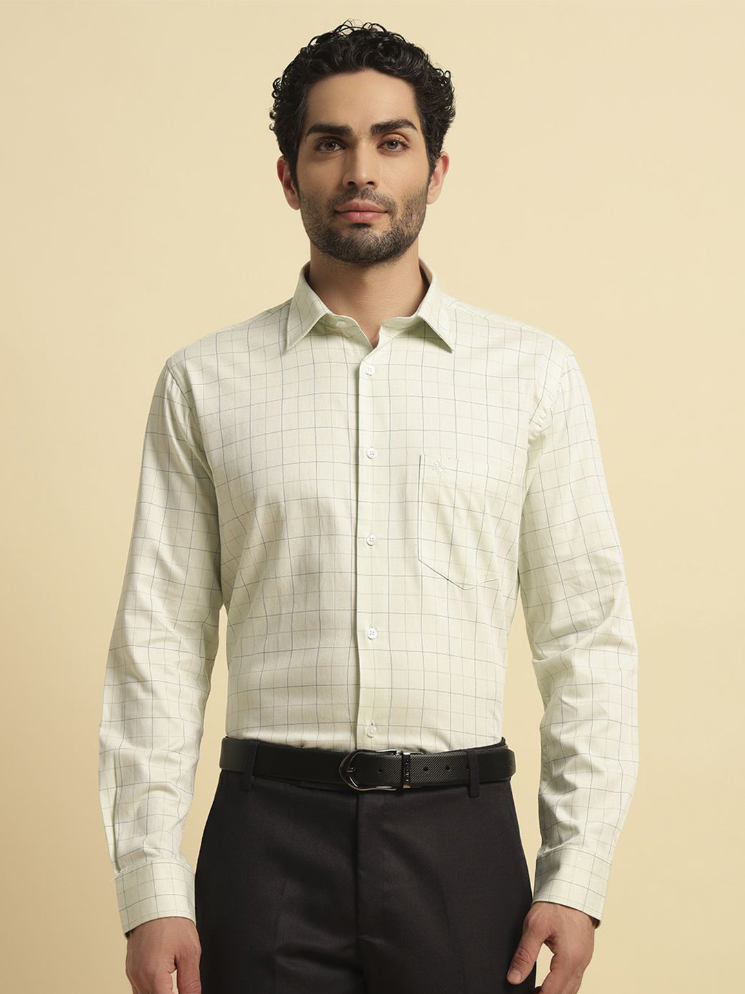 Cantabil Breathable & Soft Checked Cotton Formal Shirt