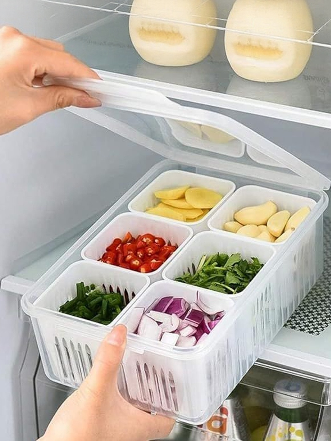 ARPANA BRIGHT Transparent Set of 1 Multi Storage Organiser