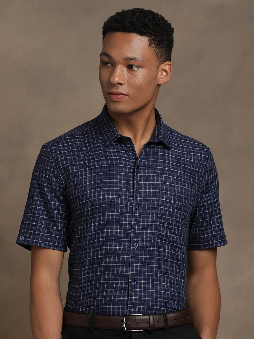 Turtle Regular Fit Checked Pure Cotton Formal Shirt