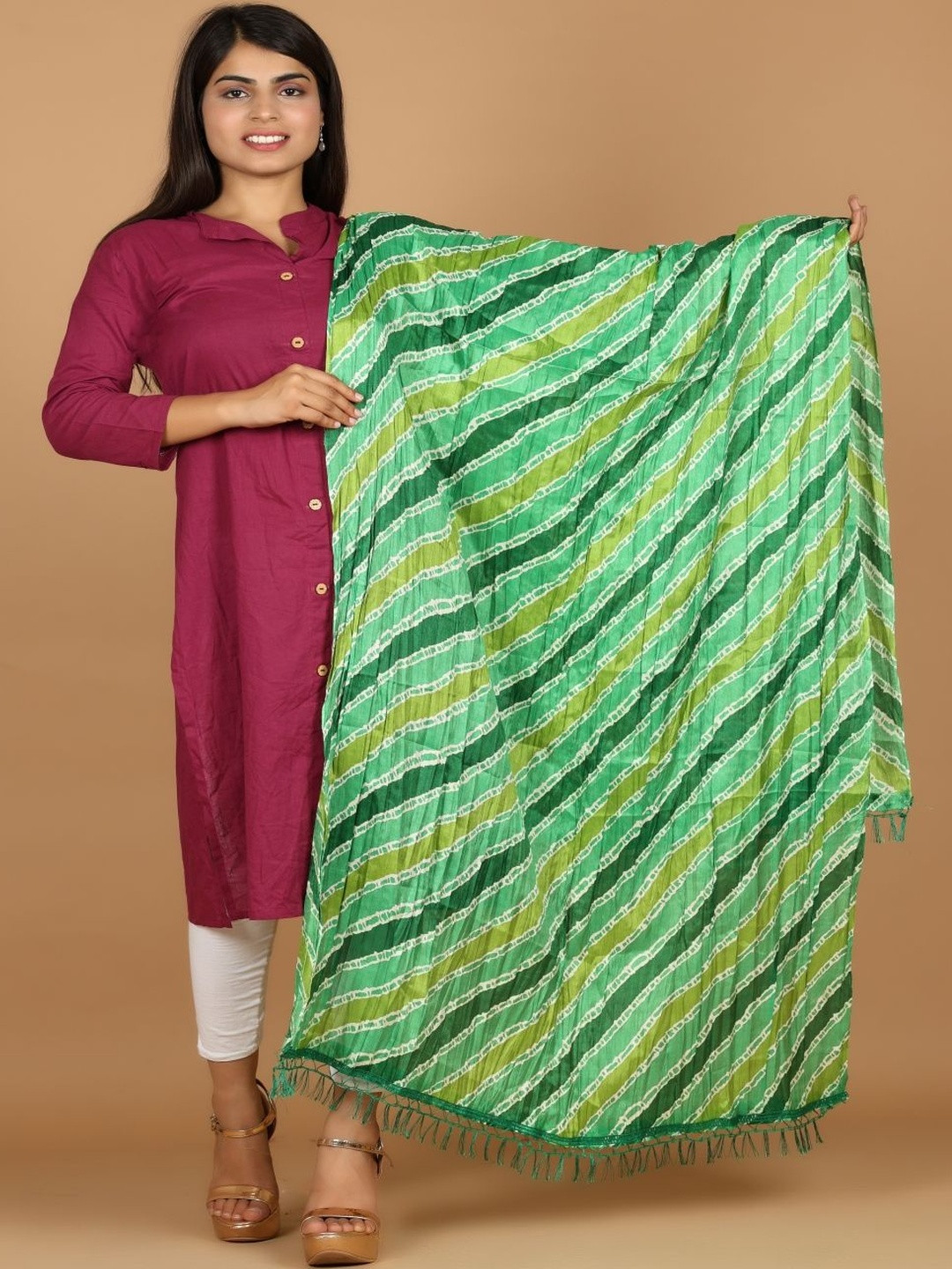 RajeRaj Women Green Chinon Silk Stripe Printed Dupatta