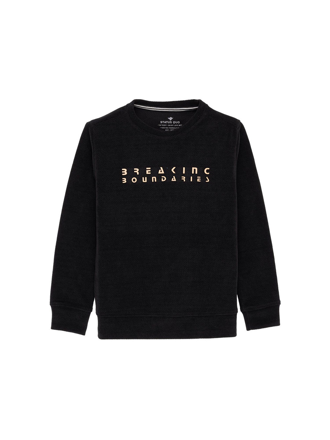 Status Quo Chest Typography printed full sleeves Round neck Lighweight Sweatshirt