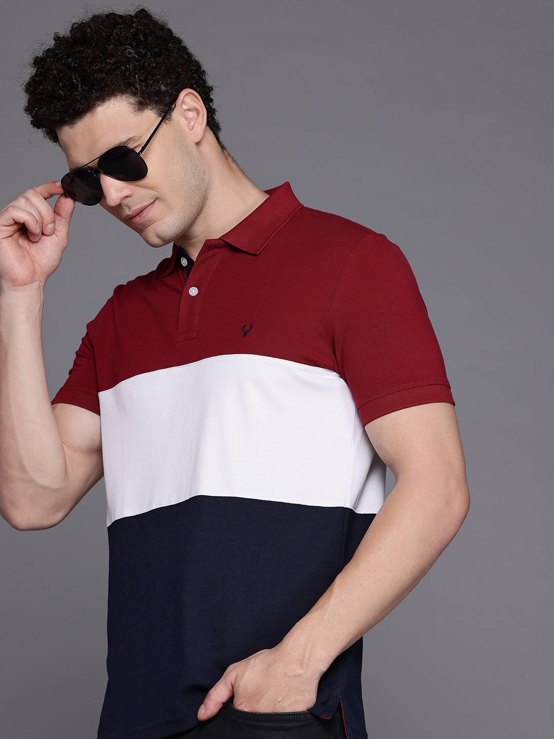 Allen Solly Colourblocked Polo Collar T-shirt