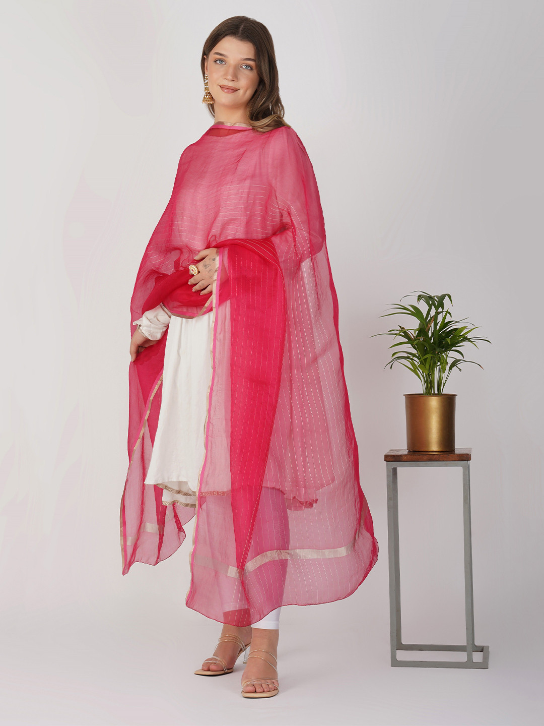 Zal from Benaras Striped Organza Silk Banarasi Dupatta
