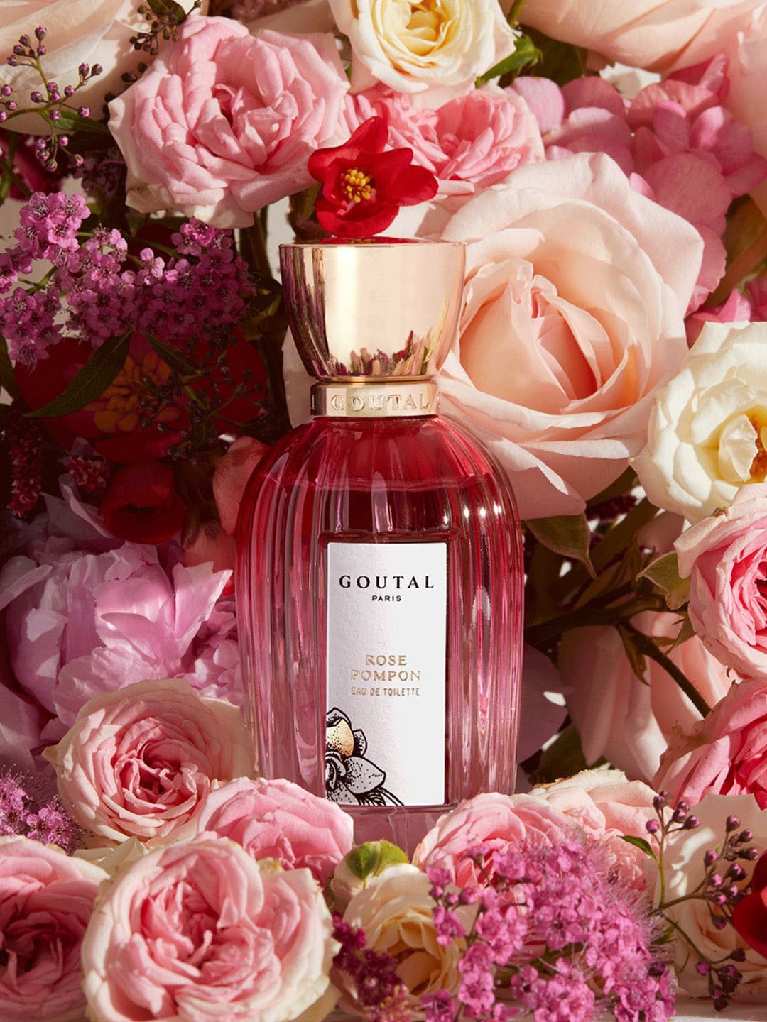 Goutal Paris Women Rose Pompon Long Lasting Eau De Parfum - 100 ml