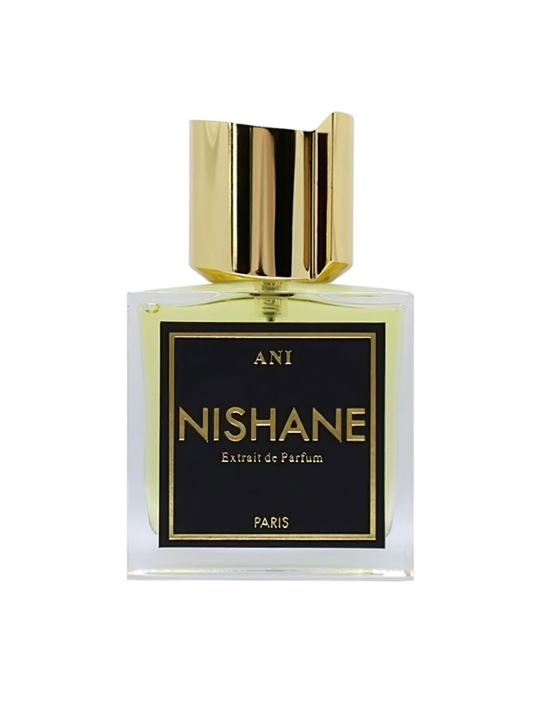 Nishane Ani Long Lasting Ea De Parfum - 100 ml