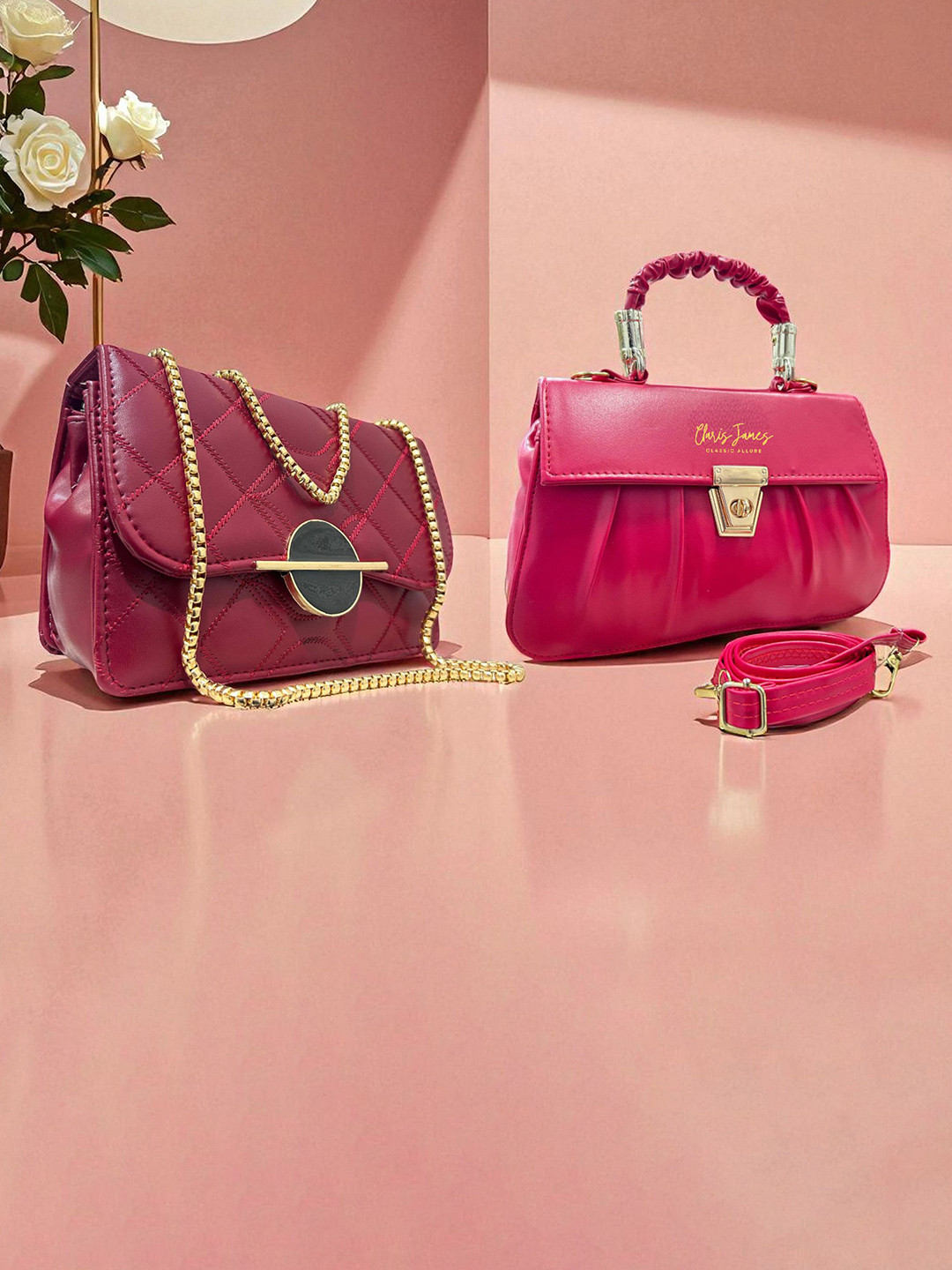 CLARIS JAMES Pack Of 2 Brand Logo Printed Structured Sling Bag