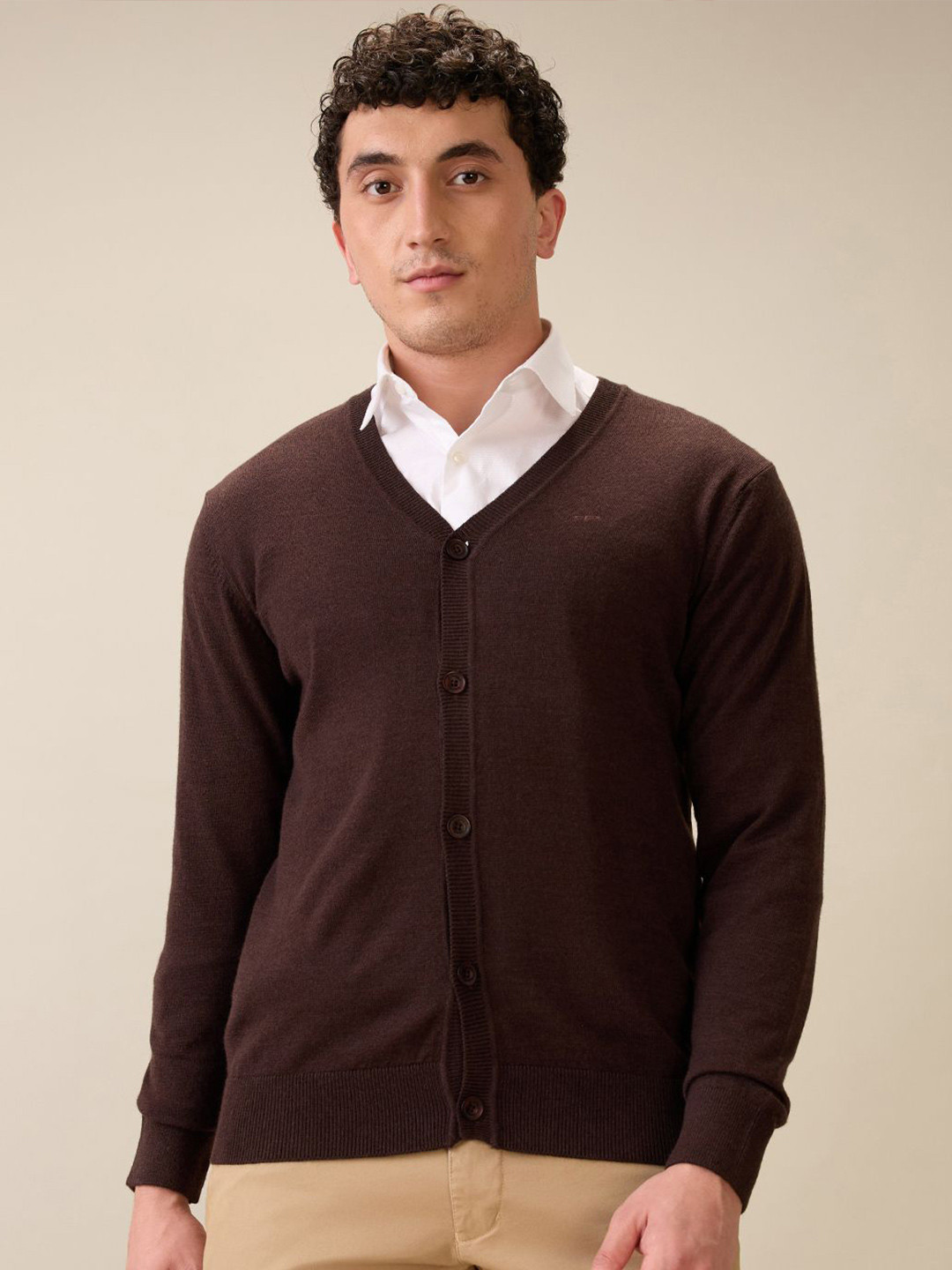 ColorPlus Men V-Neck Full Sleeve Regular Fit Sweater