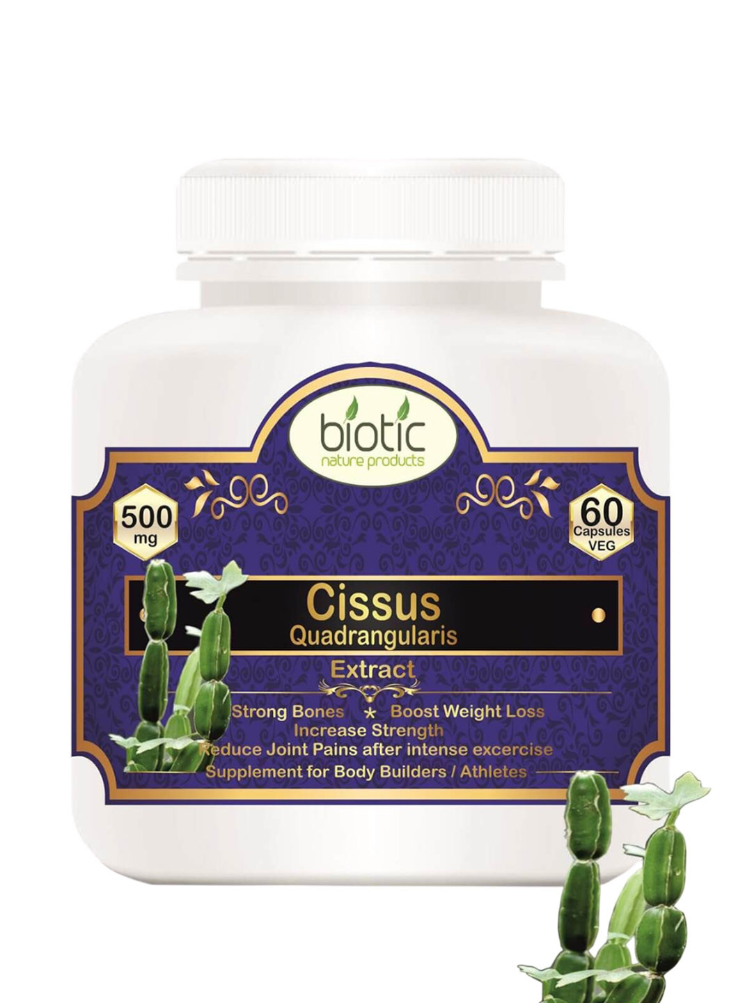 Biotic Cissus Quadrangularis 500mg Capsules - 60 Capsules