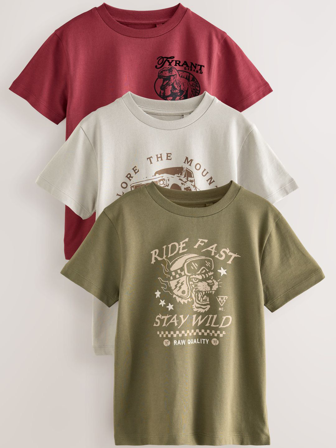 NEXT Boys Pack of 3 Graphic Print Short Sleeve Pure Cotton T-Shirts