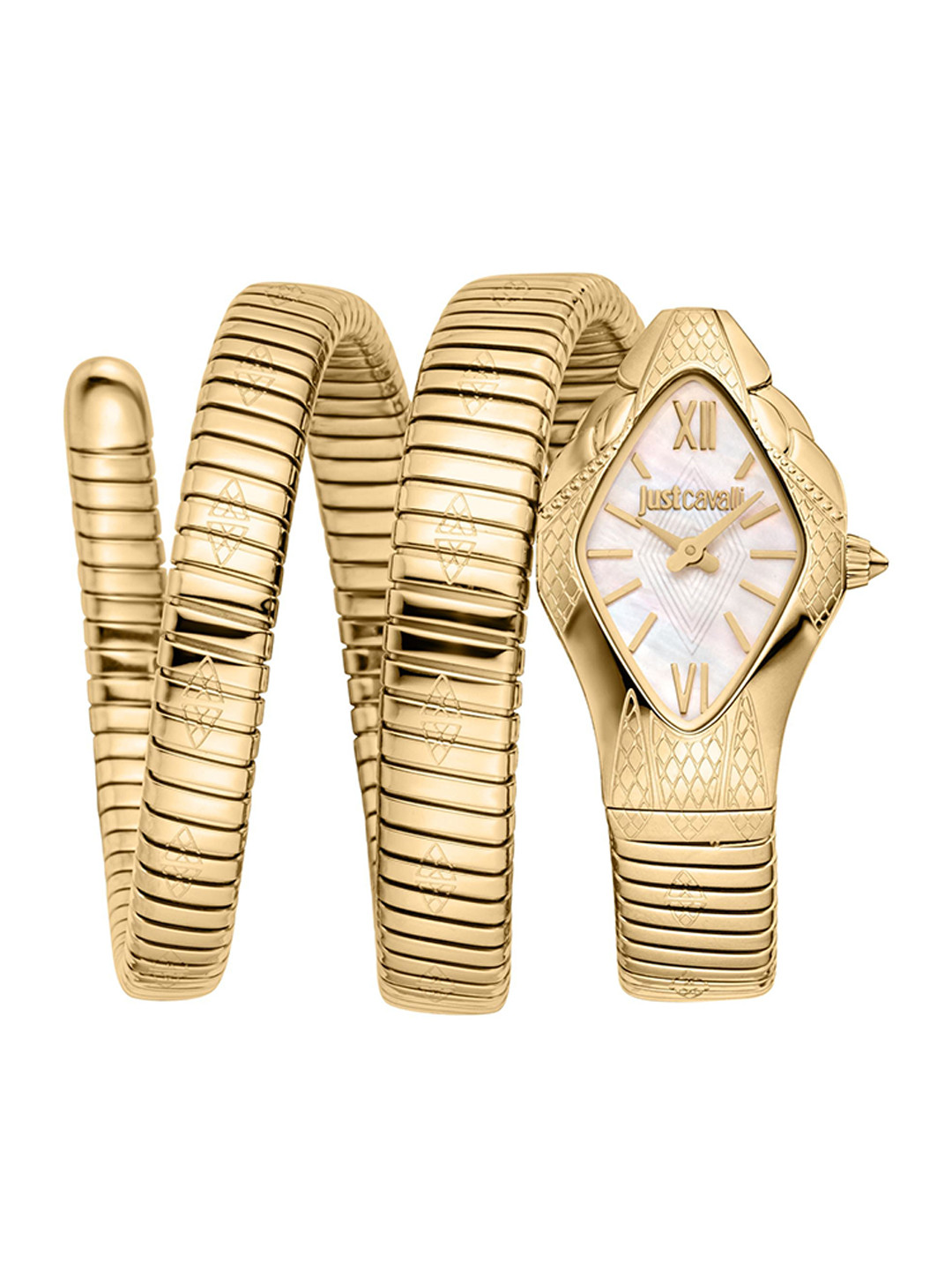 Just Cavalli Women Asymmetric Patterned Dial Analogue Watch JC1L307M0025