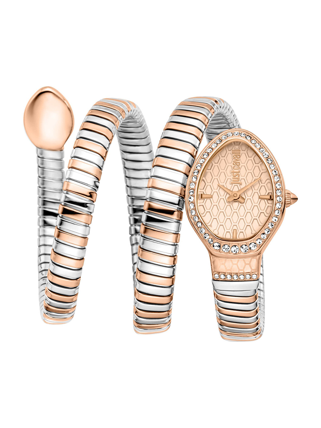 Just Cavalli Carezza Women Textured Dial Analogue Watch JC1L372M0065